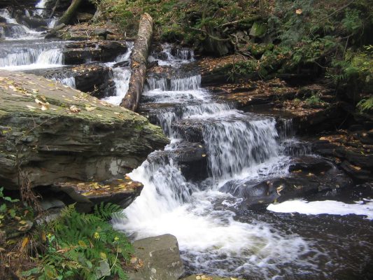 Ricketts_Glen_State_Park_Delaware_Falls_2 (1)